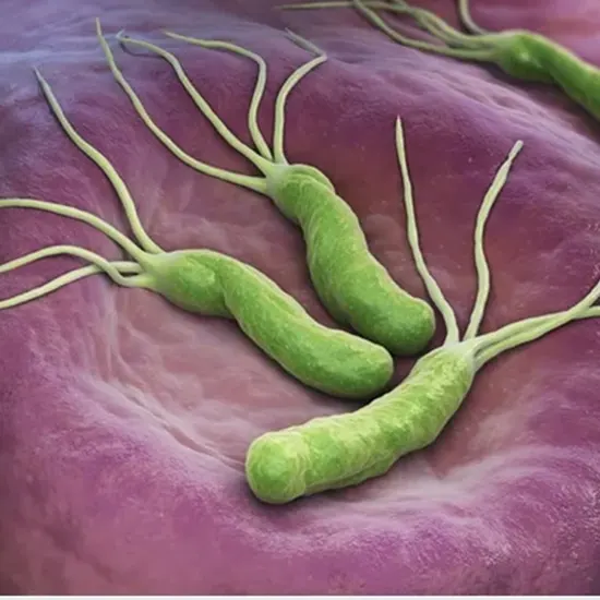 helicobacter pylori package